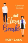 Clean Breaks cover