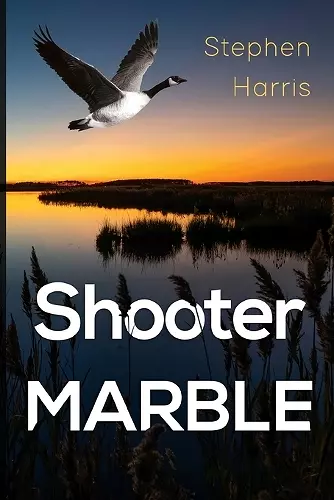 Shooter Marble cover