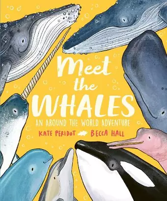 Meet the Whales cover