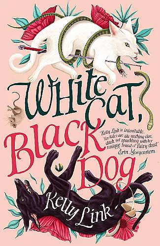 White Cat, Black Dog cover