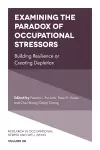 Examining the Paradox of Occupational Stressors cover