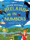 Ireland in Numbers cover