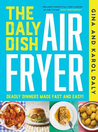 The Daly Dish AirFryer cover