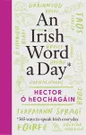 An Irish Word a Day cover