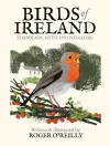 Birds of Ireland cover