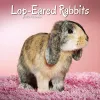 Rabbits - Lop Eared Calendar 2024  Square Animal Wall Calendar - 16 Month cover