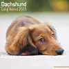 Longhaired Dachshund Calendar 2025 Square Dog Breed Wall Calendar - 16 Month cover