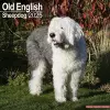 Old English Sheepdog Calendar 2025 Square Dog Breed Wall Calendar - 16 Month cover