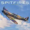 Spitfires Calendar 2025 Square Plane Wall Calendar - 16 Month cover