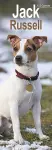 Jack Russell Slim Calendar 2025 Dog Breed Slimline Calendar - 12 Month cover