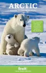 Arctic cover