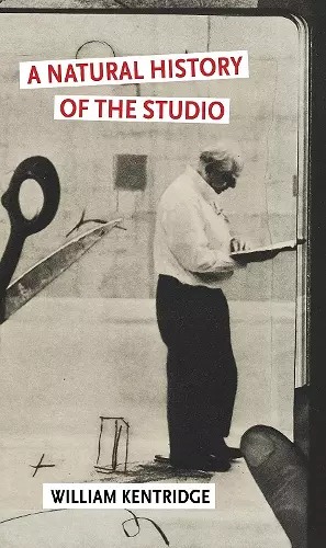 A Natural History of the Studio cover