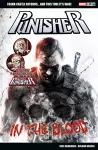 Marvel Select: Punisher: In The Blood cover