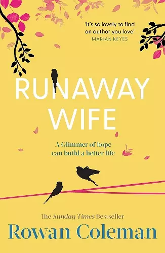 Runaway Wife cover