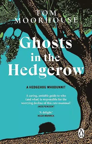 Ghosts in the Hedgerow cover