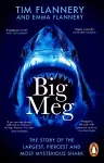 Big Meg cover