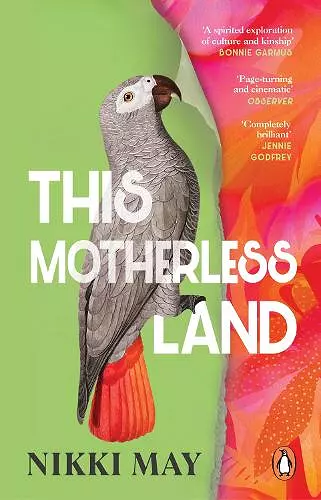 This Motherless Land cover