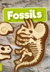 Fossils cover