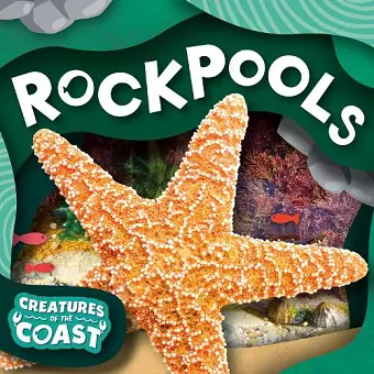 Rockpools cover