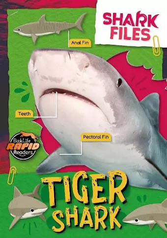 Tiger Shark cover