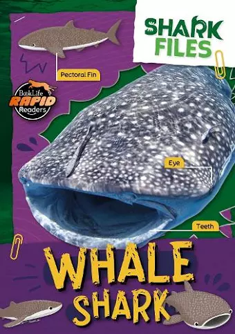 Whale Shark cover