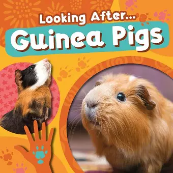 Guinea Pigs cover