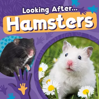 Hamsters cover