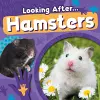 Hamsters cover