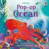 Pop-up Ocean cover