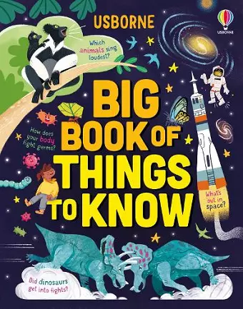 Big Book of Things to Know cover