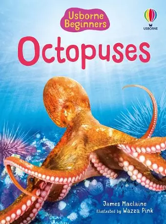Beginners Octopuses cover