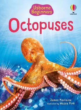 Beginners Octopuses cover