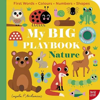 My BIG Playbook: Nature cover