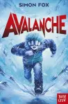 Avalanche cover