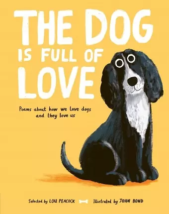 The Dog is Full of Love cover