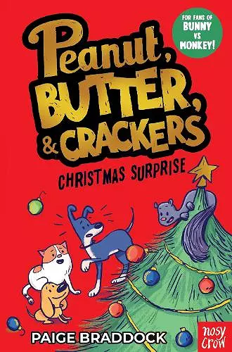 Christmas Surprise cover
