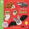 National Trust: My Very First Spotter's Guide: I Spot A Bat cover