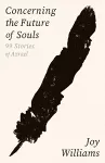 Concerning the Future of Souls cover