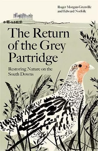 The Return of the Grey Partridge cover