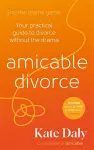 amicable divorce cover