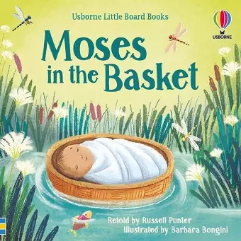 Moses in the basket cover