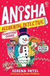Anisha, Accidental Detective: Christmas Chaos cover