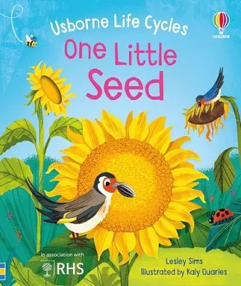 One Little Seed cover