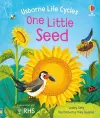 One Little Seed cover