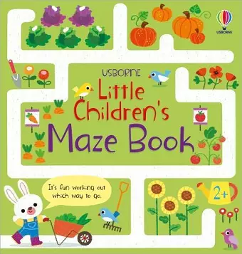 Little Children's Maze Book cover