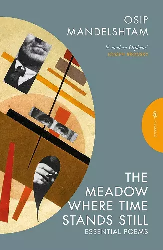 The Meadow Where Time Stands Still cover