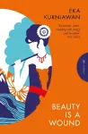 Beauty is a Wound cover