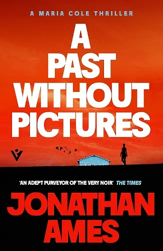 A Past Without Pictures cover