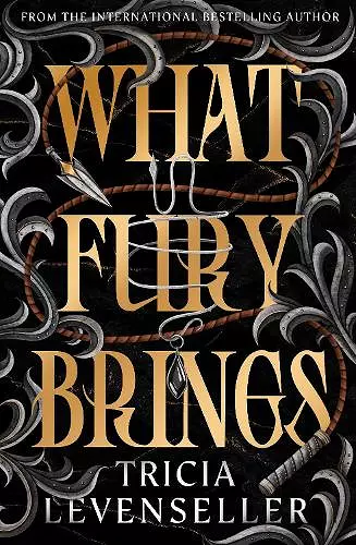 What Fury Brings cover