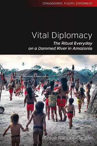 Vital Diplomacy cover